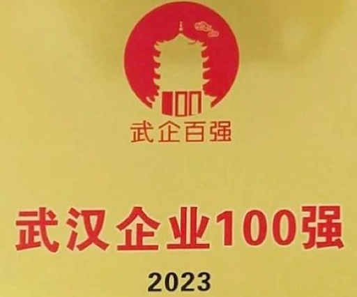 2023武汉企业百强名单发布|长江电气荣登“武汉企业100强”“武汉制造业企业100强”榜单
