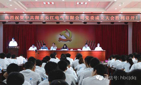 中共湖北长江电气有限公司党委成立大会隆重召开